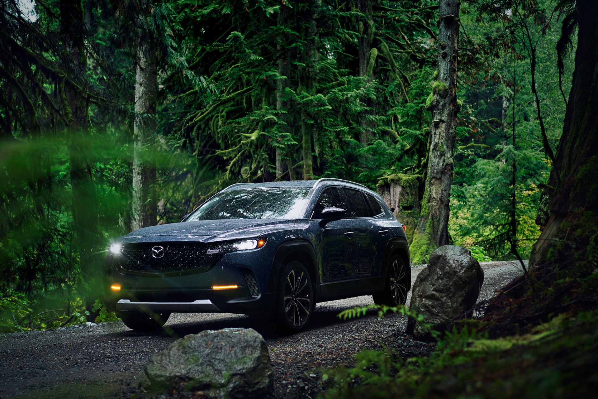 2023 Mazda CX-50 in a forest.