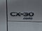 2026 Mazda Mazda CX-30 2.5 S Premium AWD