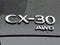 2025 Mazda Mazda CX-30 2.5 S Premium Package