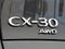 2025 Mazda Mazda CX-30 2.5 S Premium Package