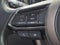 2019 Mazda Mazda CX-9 Signature