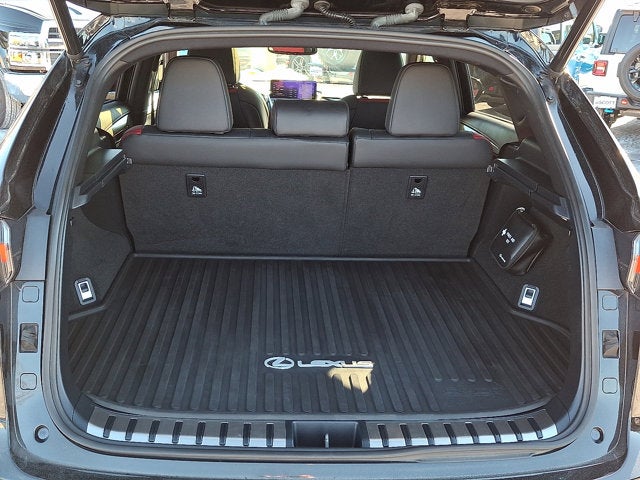 2020 Lexus NX NX 300 F SPORT