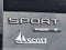 2020 Land Rover Discovery Sport S R-Dynamic